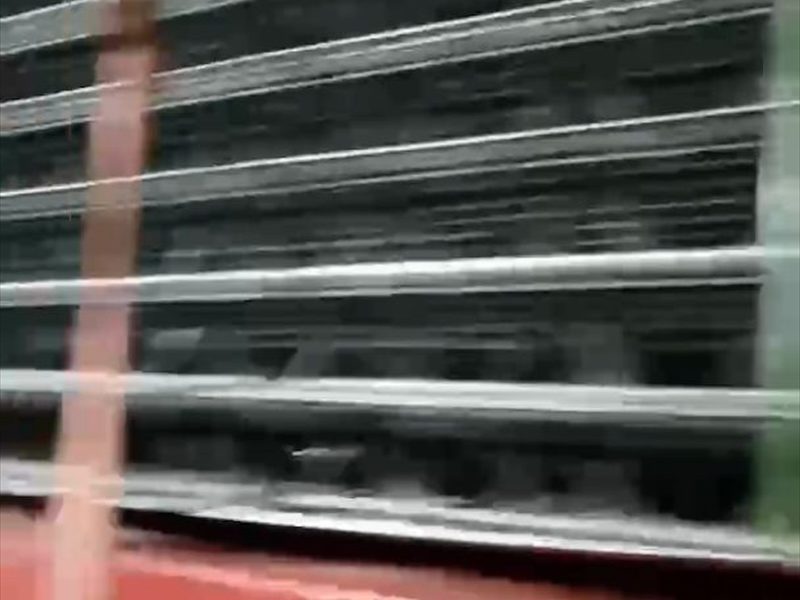 镀锌角钢
