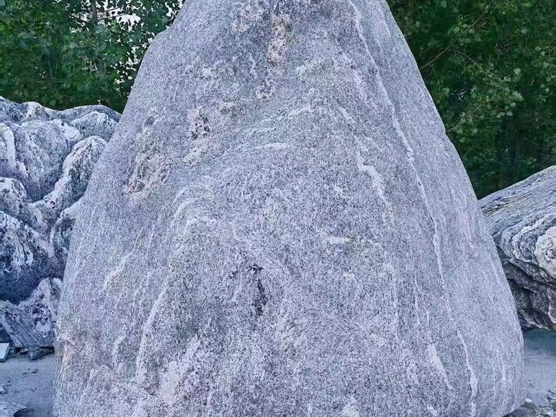 公园景观石