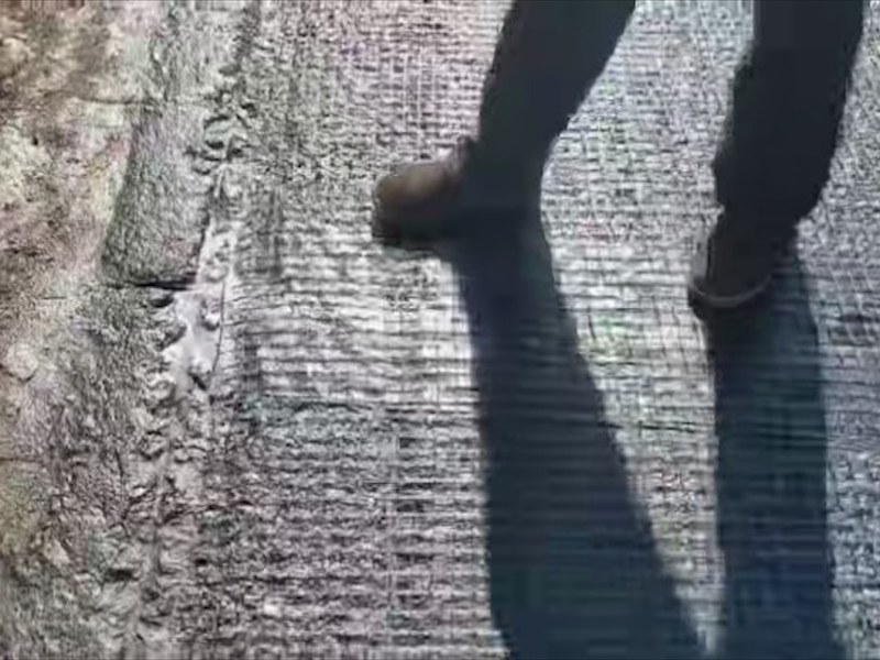 矿用土工格栅