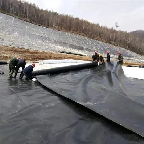 article_image