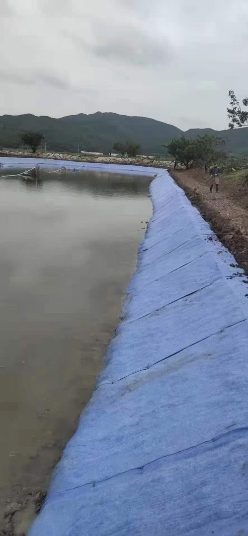 鱼塘用水泥毯