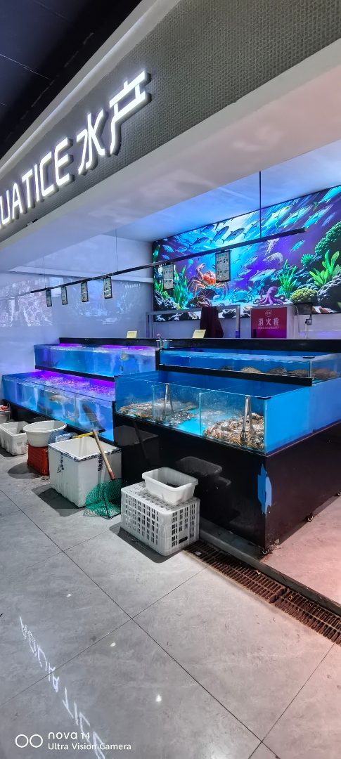 资阳市海鲜池定制