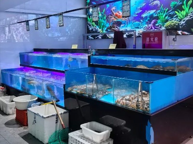 资阳市海鲜池定制