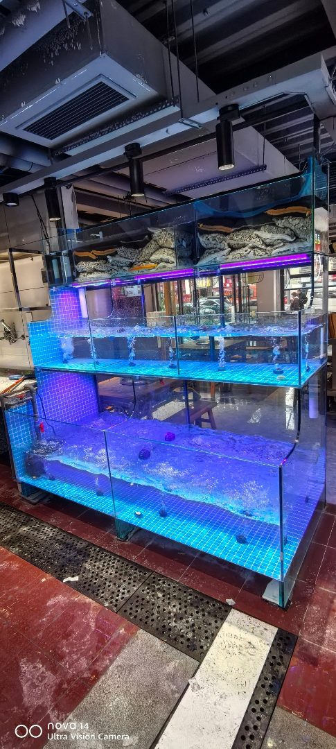 资阳市饭店海鲜池定制
