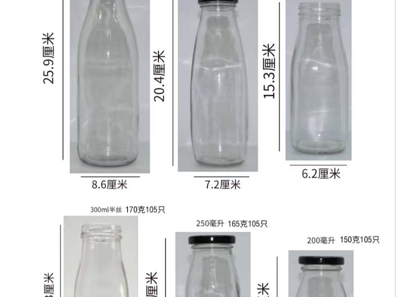 富贵竹玻璃瓶