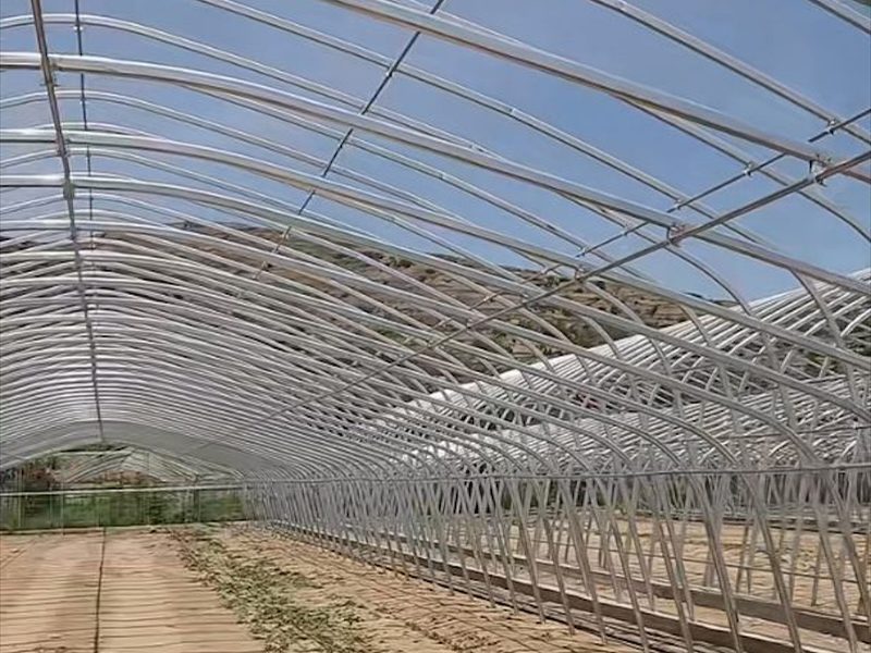 温室大棚