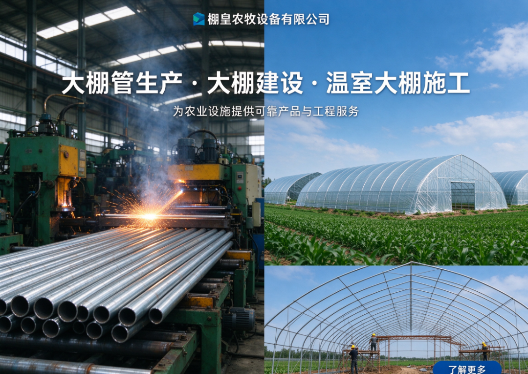 棚皇温室 棚皇温室生产基地