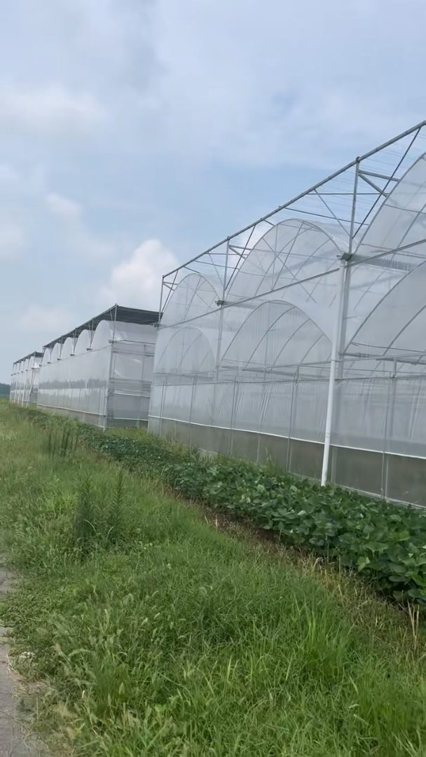温室大棚骨架