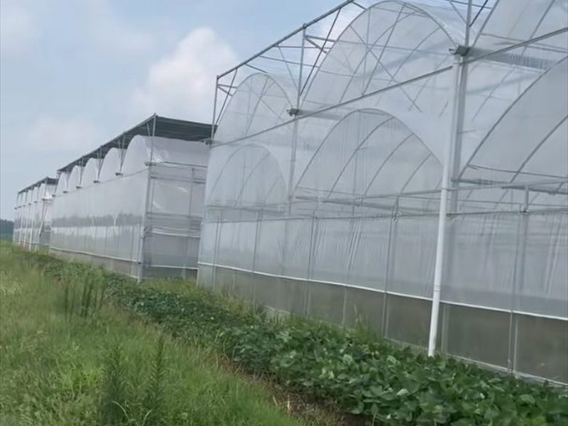 温室大棚骨架