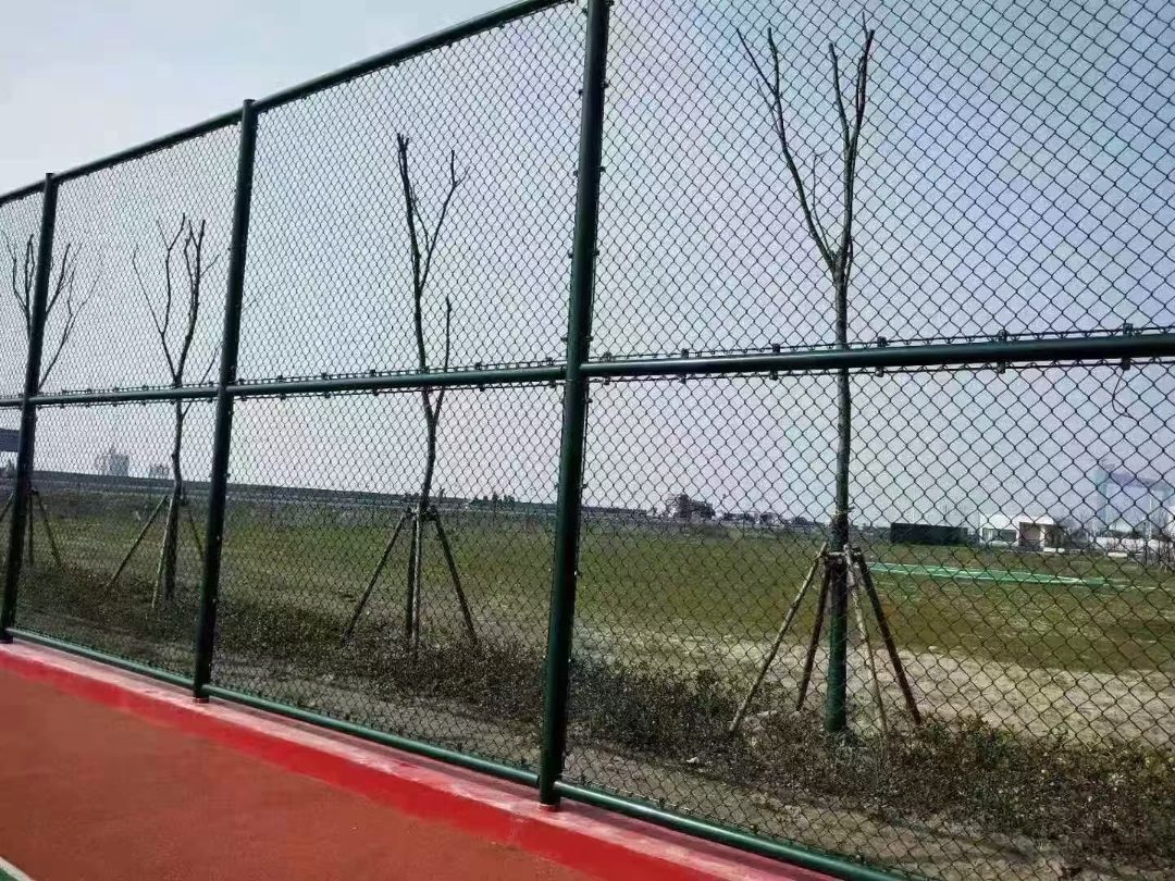 专用篮球场围网