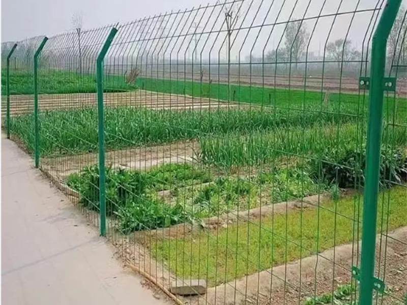 铁路铁丝网护栏