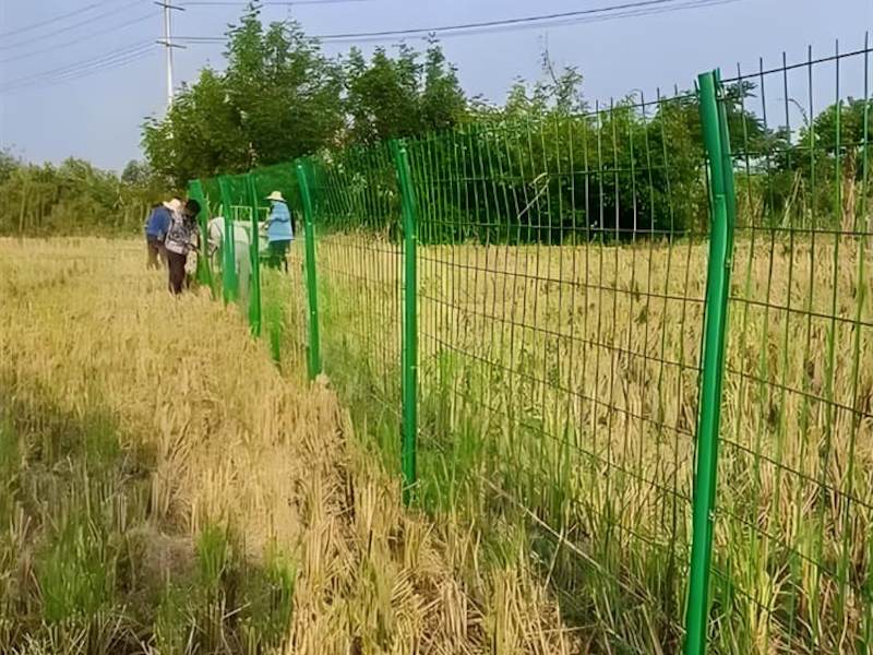 公路铁丝网护栏