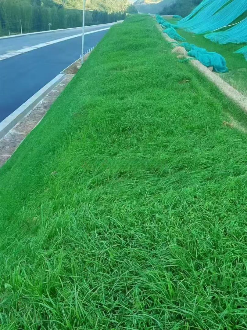 em4三维植被网