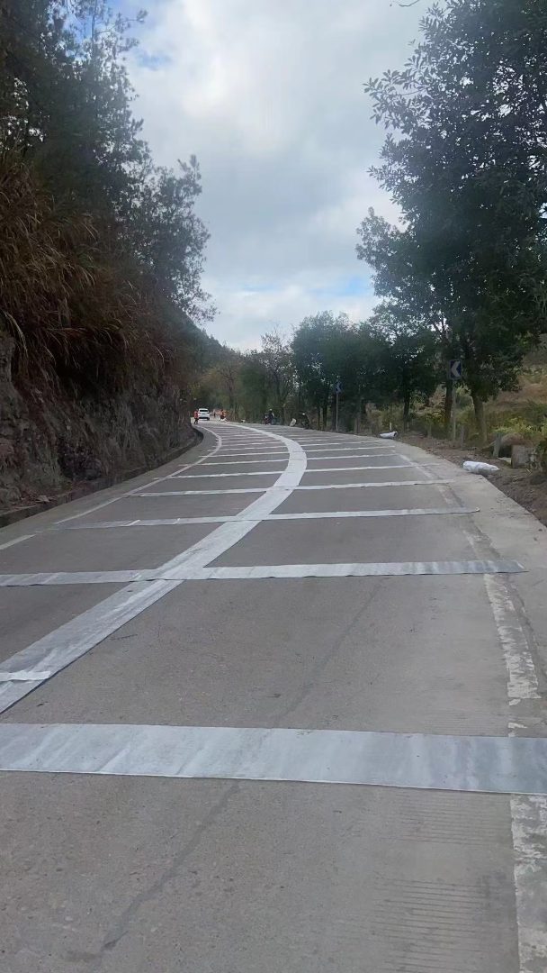 沥青路面防裂贴