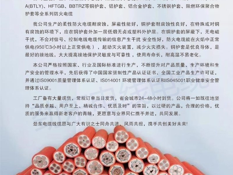 遵义市YJLV电力电缆
