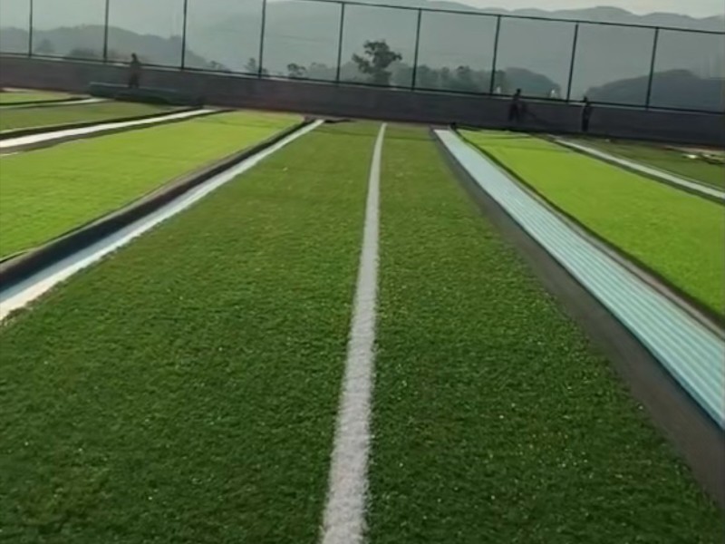 体育场地材料应用场景