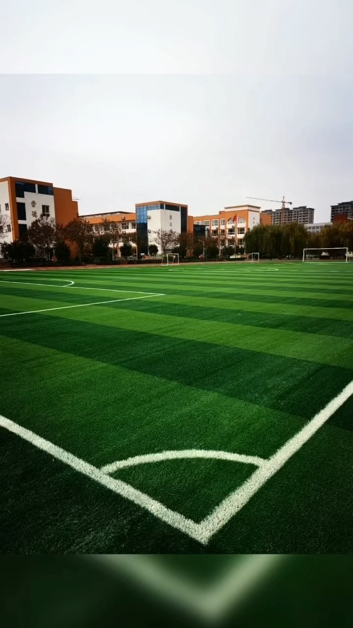 绍兴市新昌县足球场地坪翻新方案，旧场地焕新攻略