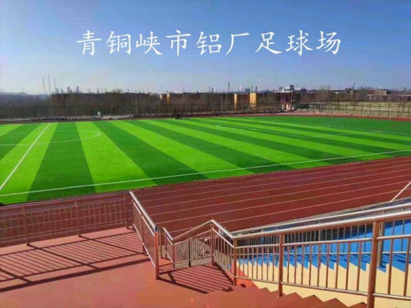 足球场草坪铺设效果