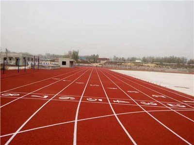 混合型塑胶跑道在银川市贺兰县运动公园的设计与施工