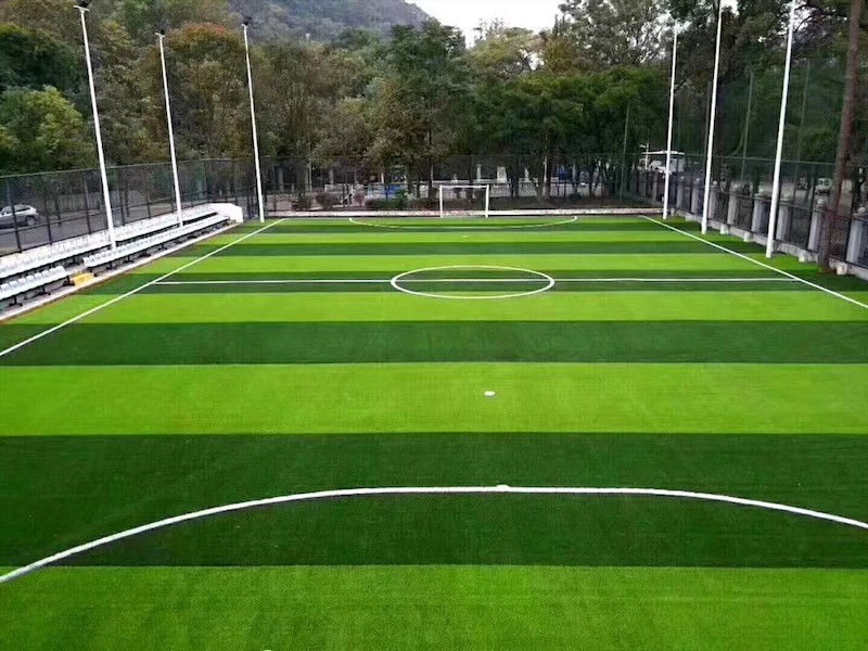 草坪细节展示
