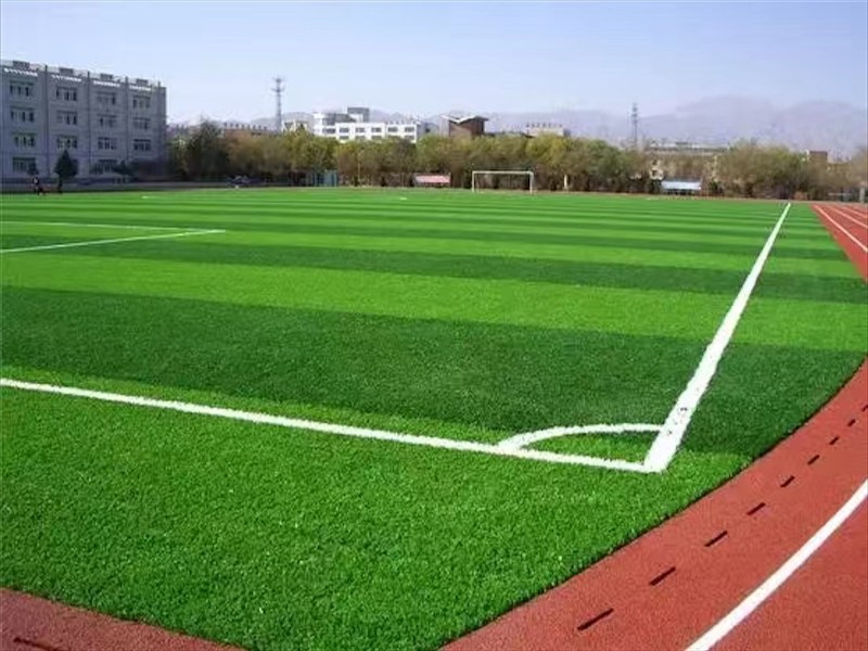 足球场草坪展示