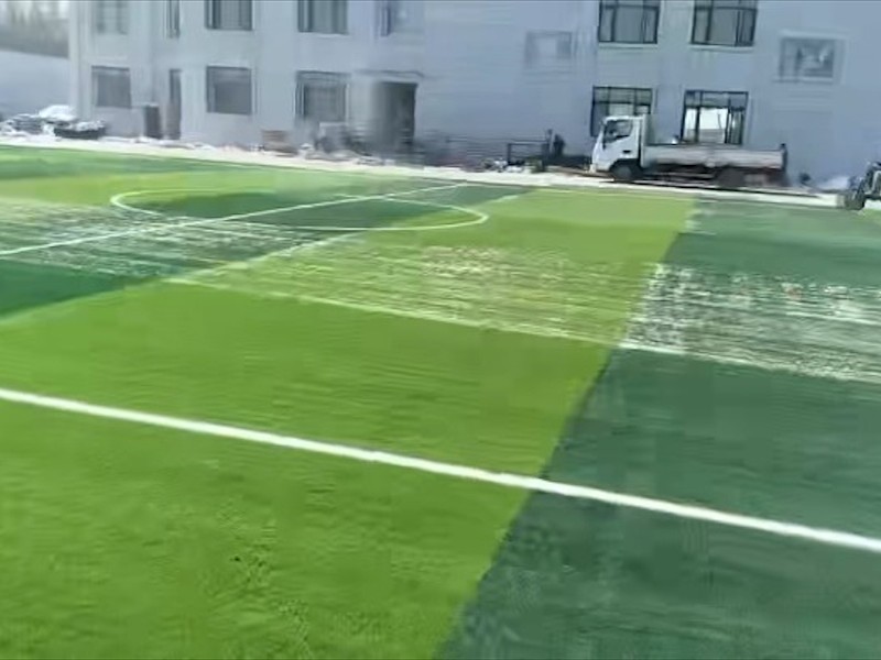 足球场草坪展示