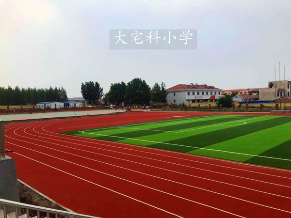 足球场草皮更换攻略：人造草皮vs天然草皮怎么选