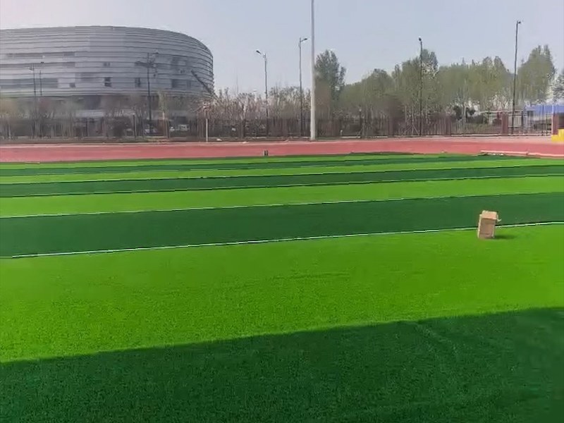 足球场草坪铺设效果
