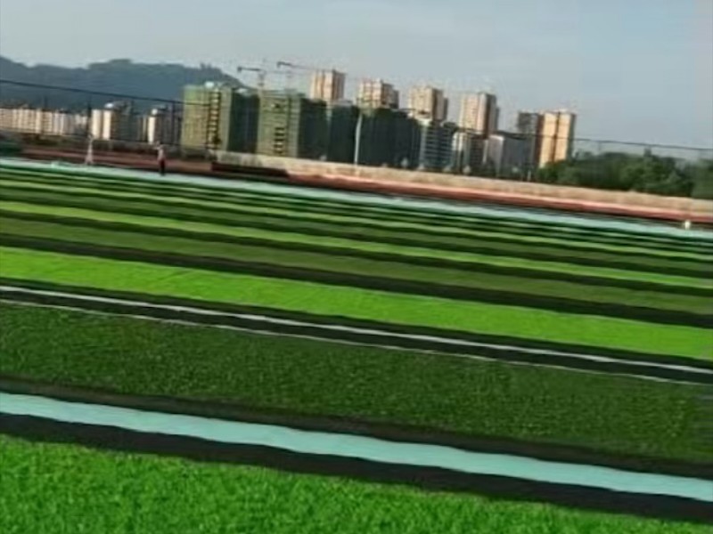 邵阳市人造草坪
