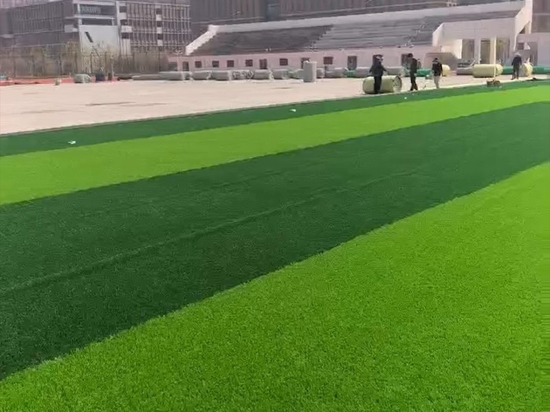 草坪细节展示