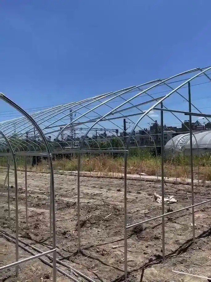 草莓大棚搭建
