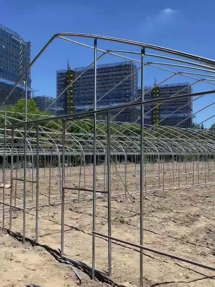 牛棚大棚建造