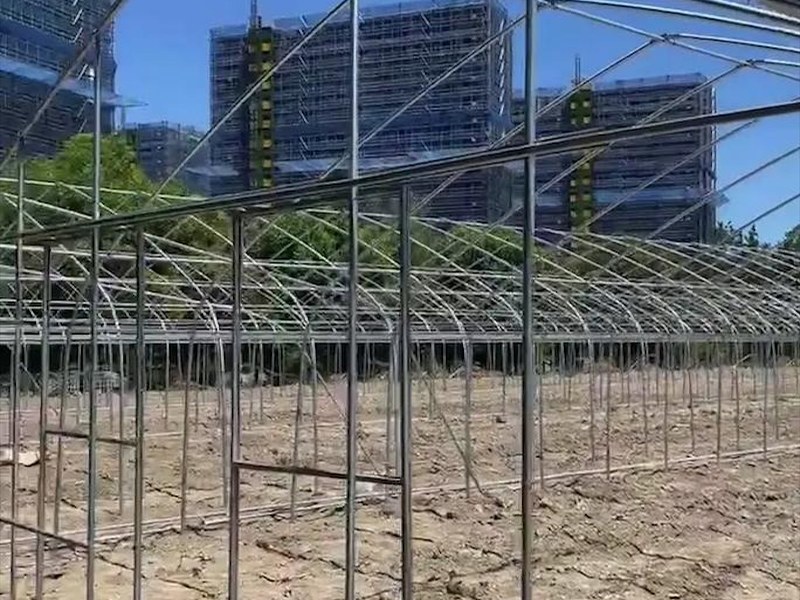 牛棚大棚建造