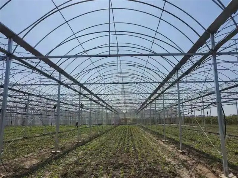 蔬菜大棚建造
