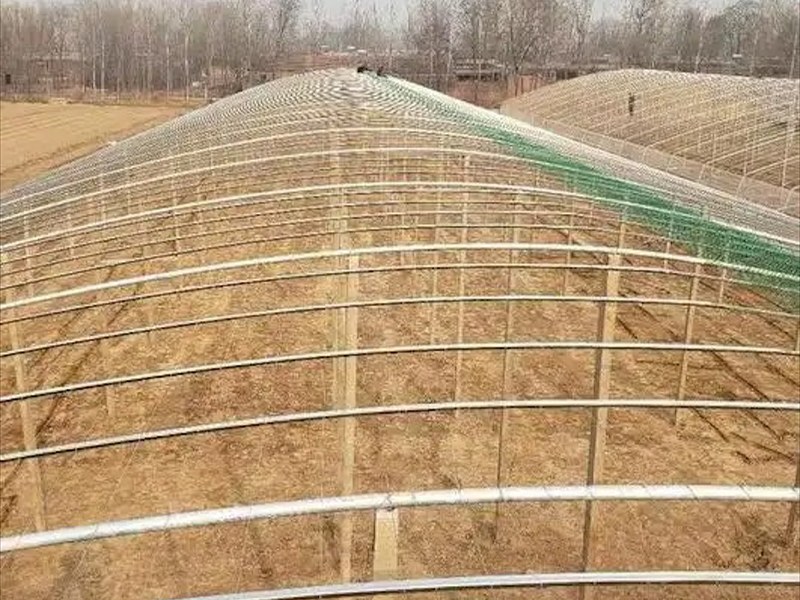 养羊大棚建造