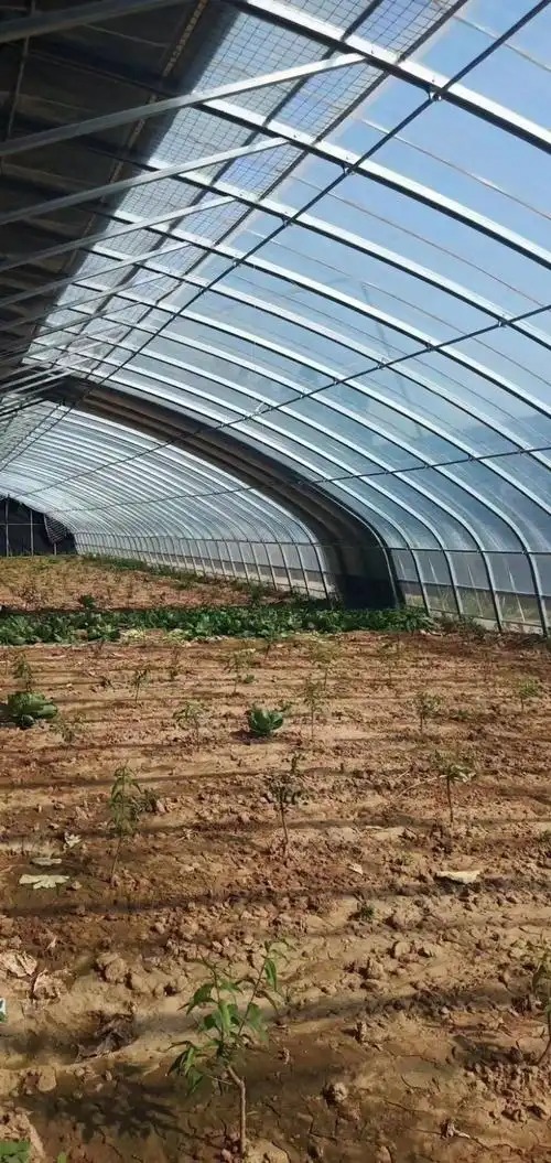 养羊大棚建造