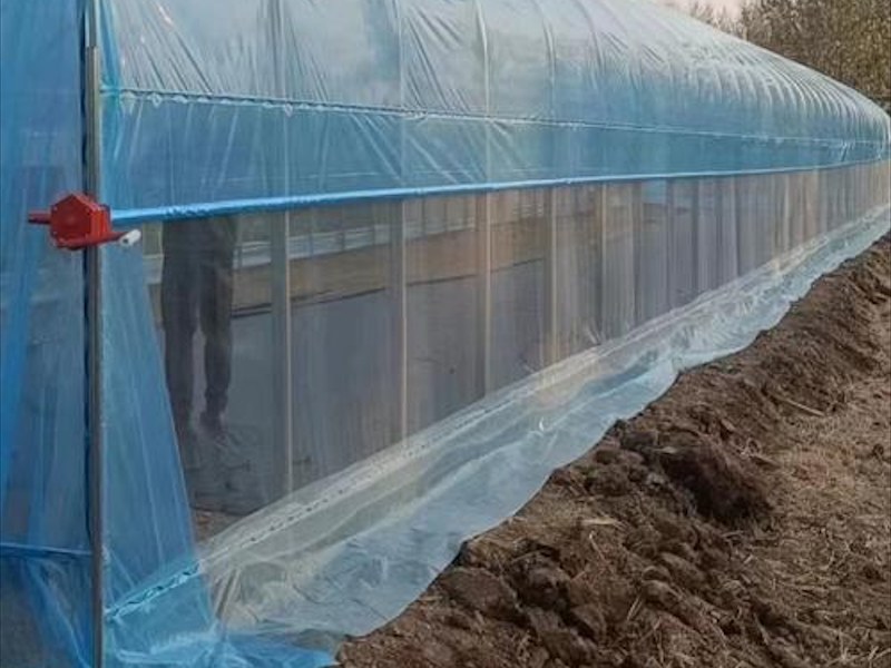 温室建造