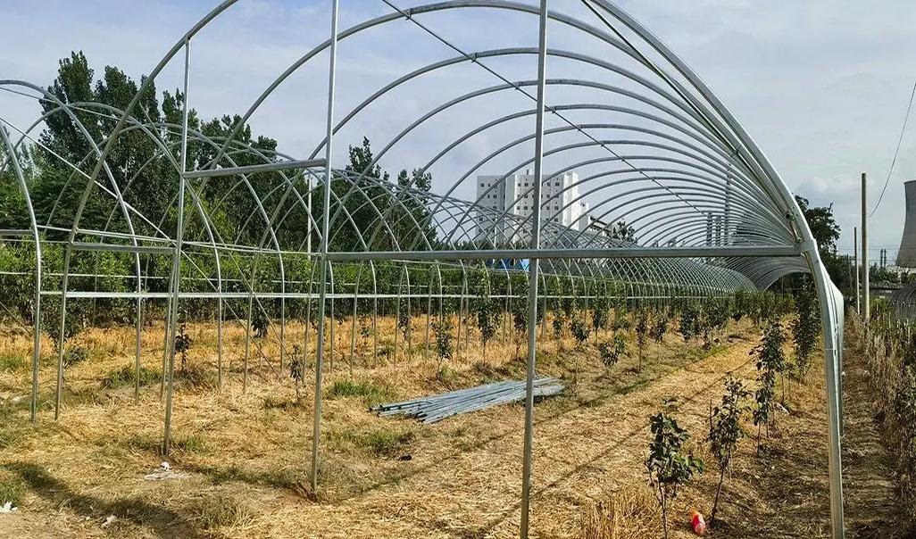 蔬菜大棚建造