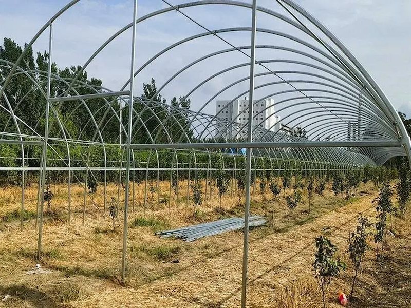 蔬菜大棚建造
