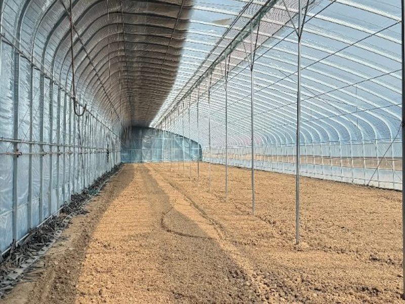 温室大棚建造