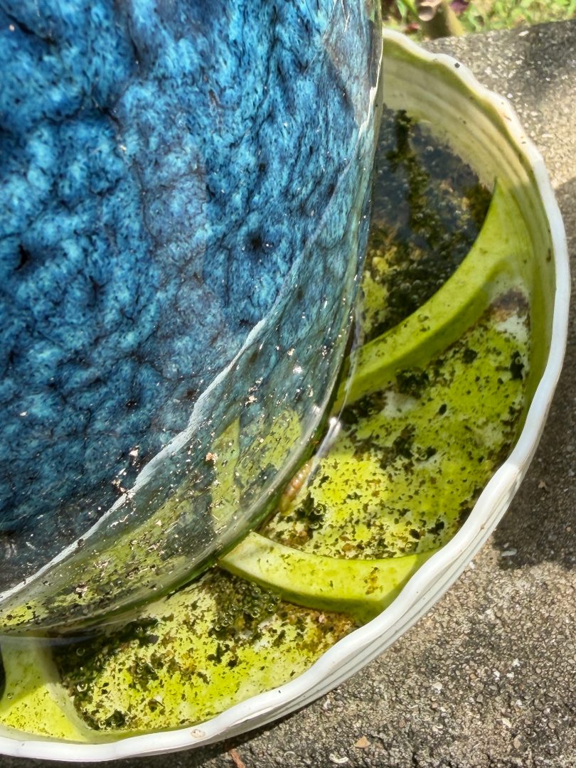 有害生物防制员培训