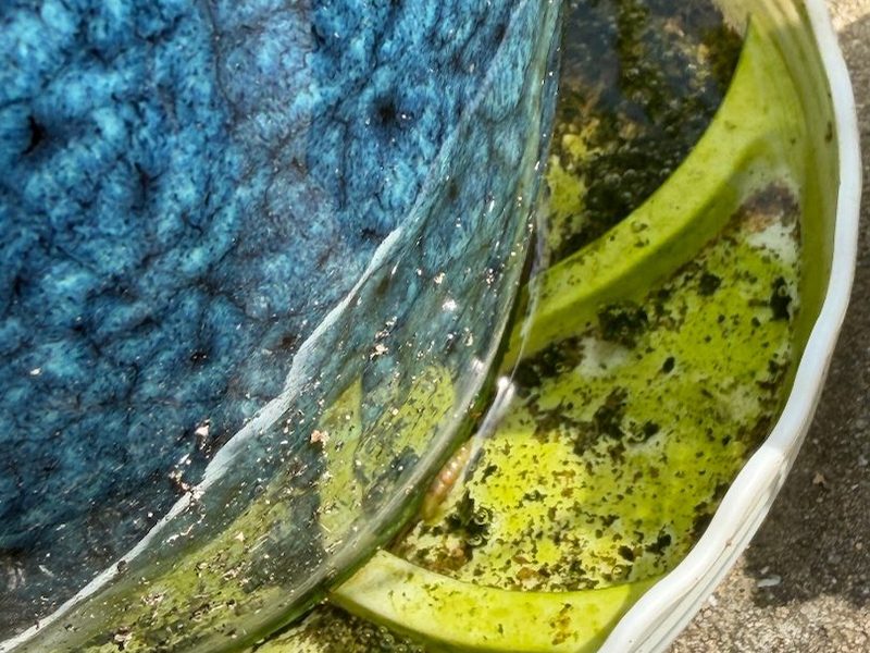有害生物防制员培训