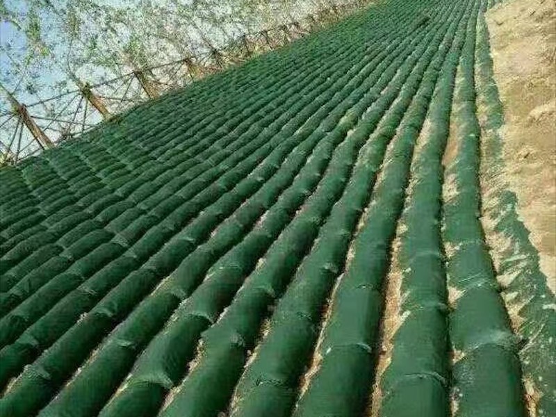 长丝生态袋
