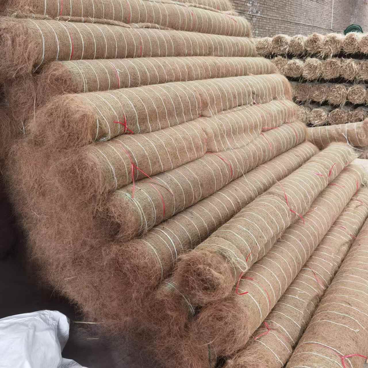 抗冲生物毯