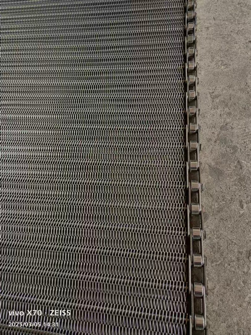 传送网带