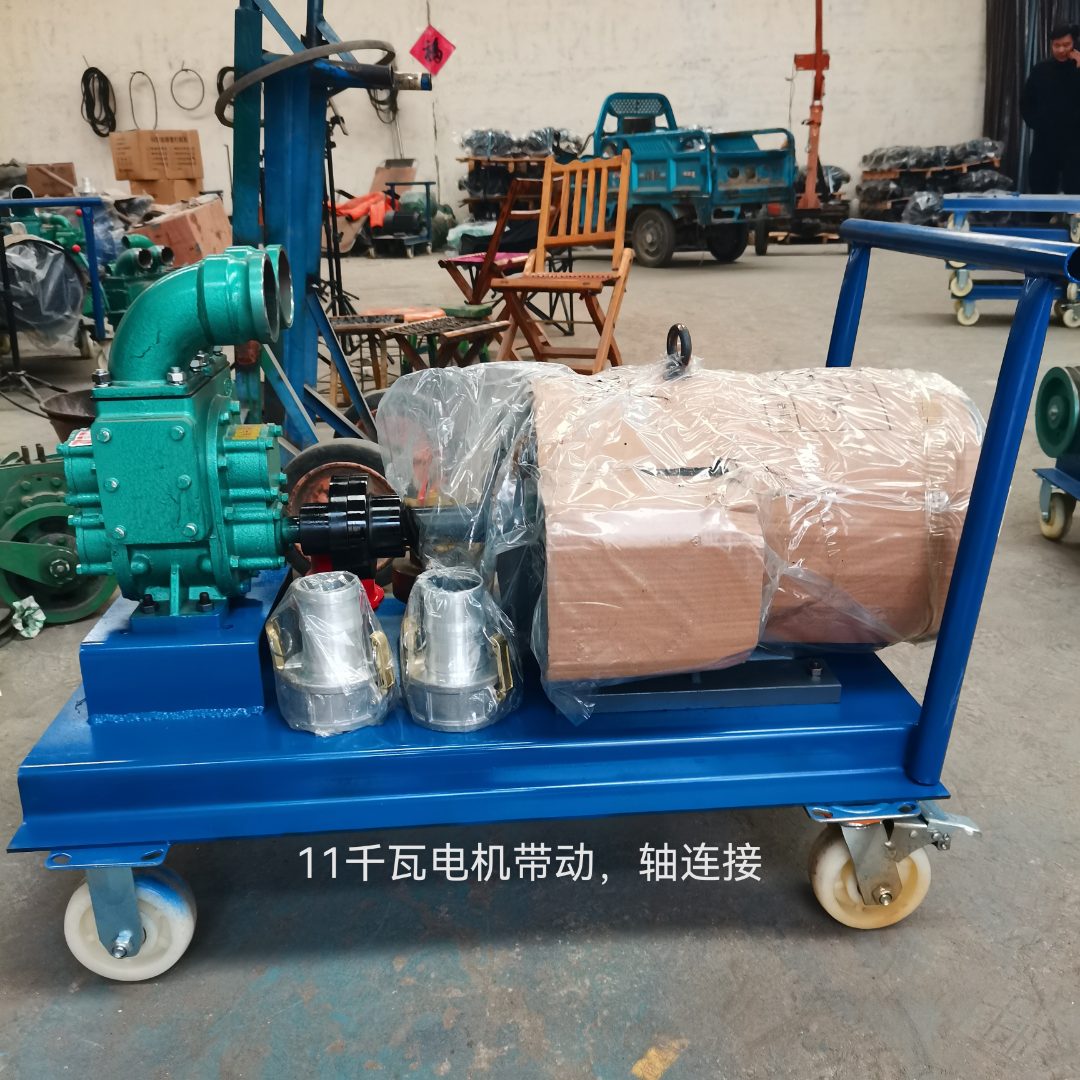 手推式吸粪泵