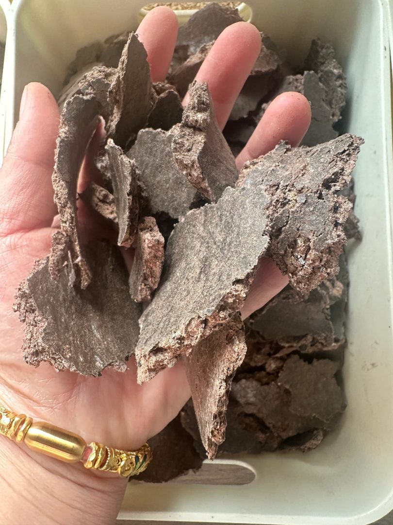 春耕蓖麻饼肥