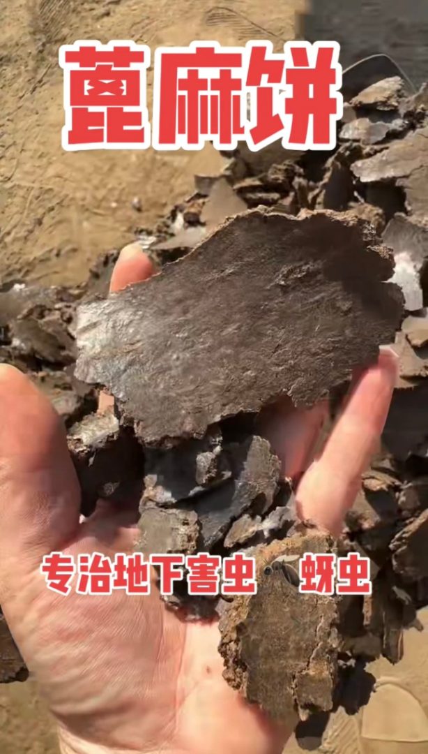 蓖麻粕
