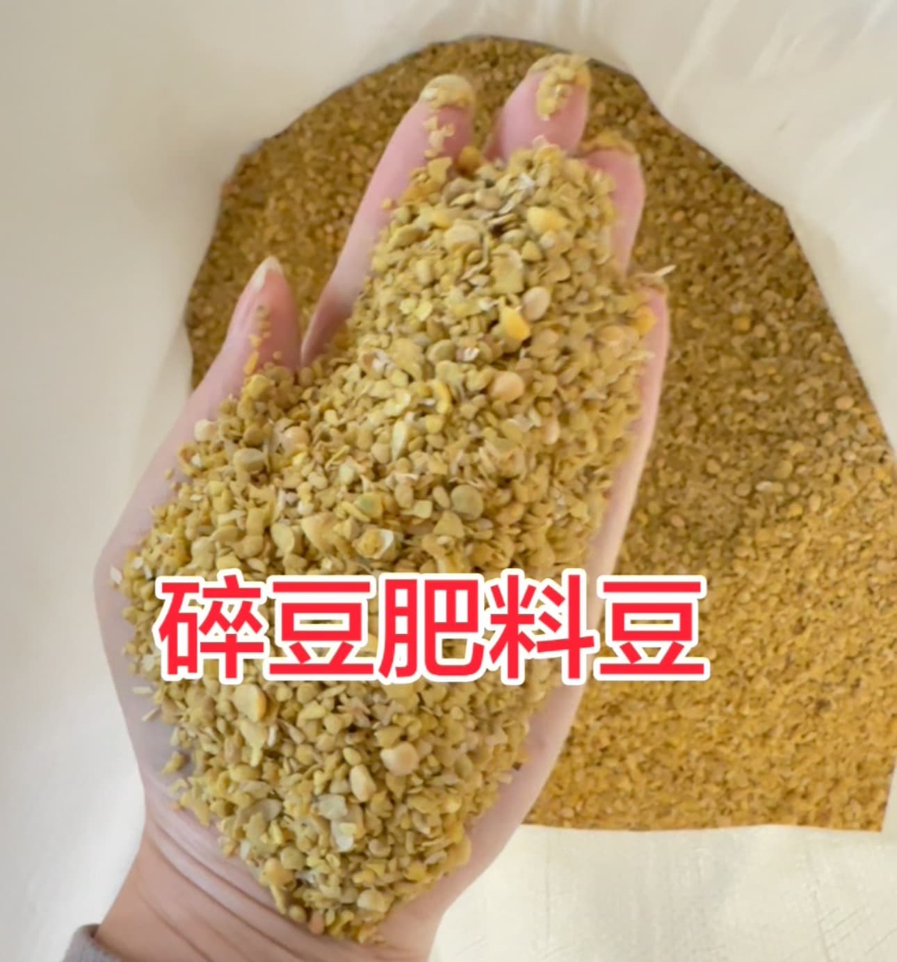 发酵大豆