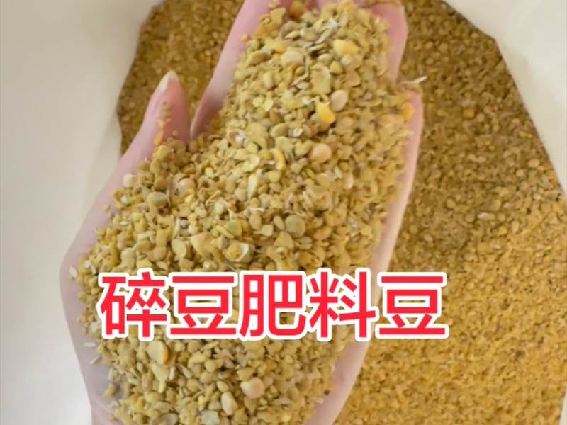 发酵大豆